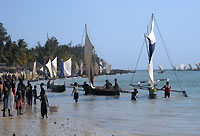  - Jour de r&eacute;gate &agrave; Mangily - Plong&eacute;e sous-marine
