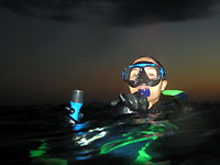 Diver surfacing after a night dive