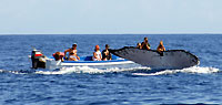 Baleine plongeant près du bateau - 21/08/09