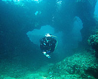 Diver under arches at Cathedral - 04/11/07