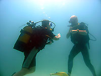 Emilie and Stephane 3