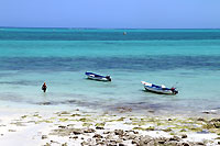 Diving trip boats in Salary - 23/10/13