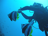 Jean Pierre and his bannerfish - 22/06/06
