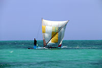 Pirogue with a patchwork sail - 23/10/13