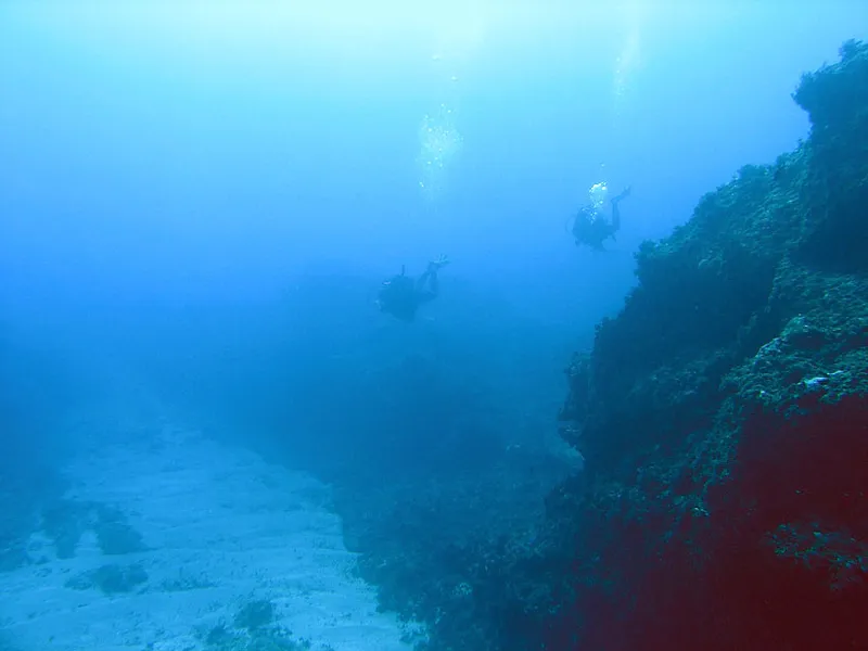  Two divers hanging in the blue