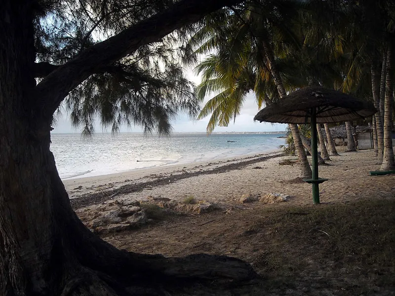 Plage de Mangily, cocotiers et filaos