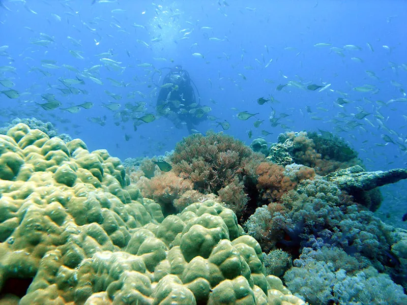 Photo diving Madagascar