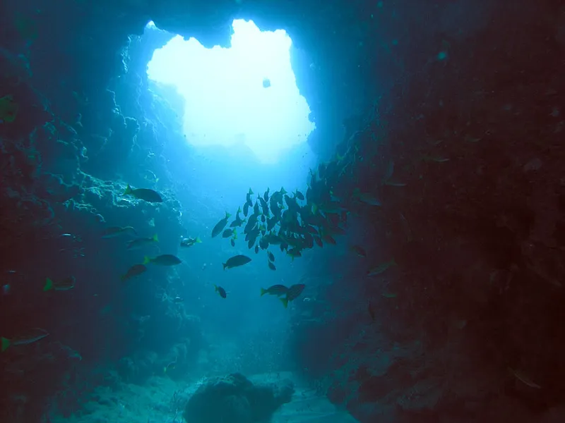 Une grotte du site de plongée Cathédrale