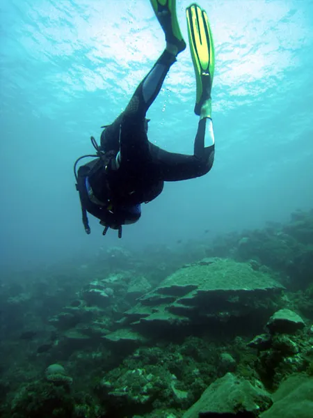 A diver on the south inlet north wall