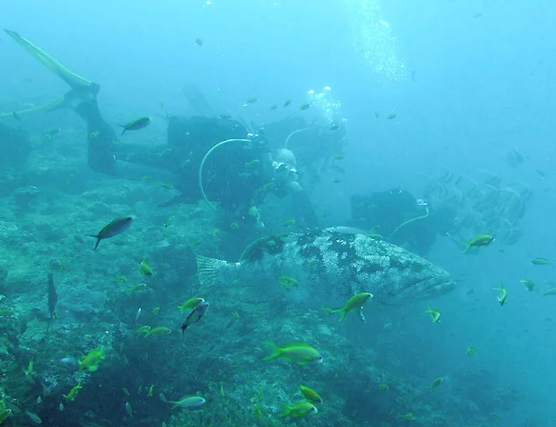 Photo diving Madagascar