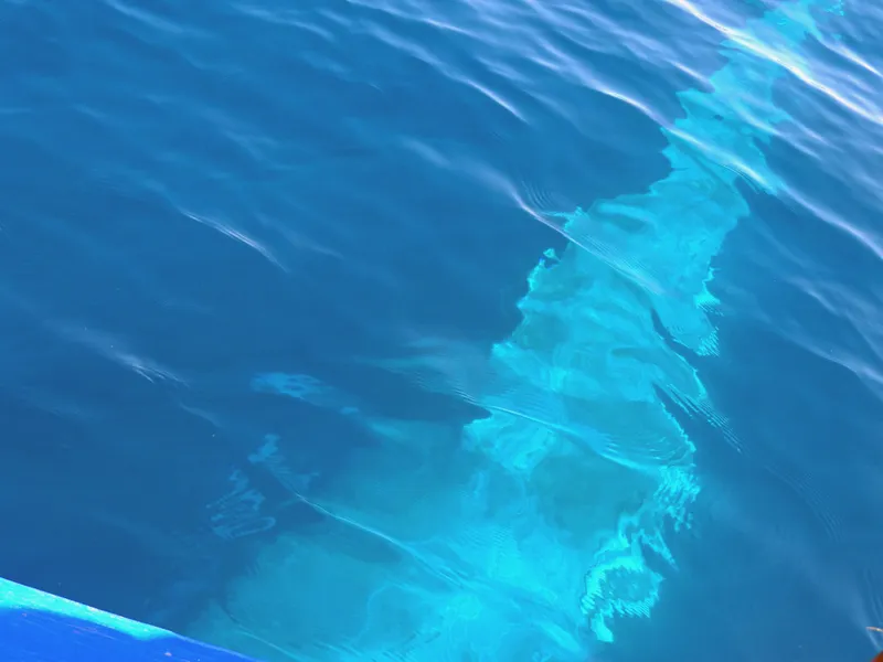 Une baleine à bosse, vue du bateau, sous l'eau et sous le bateau