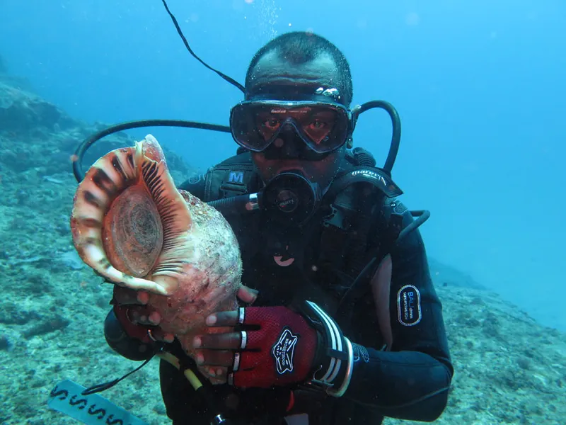 Taylor, new divemaster of the Madagascar National Parks and a giant triton