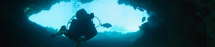 Cathedral dive site Ifaty