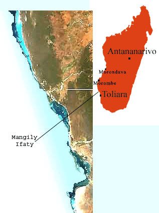 Madagascar, le lagon d'Ifaty Mangily et le centre de plongée ATIMOO  