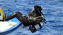 Rolling back in the water