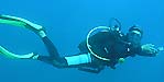 Carole Burkhard underwater, PADI DM 975553