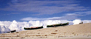 pirogues sur la dune de Salary